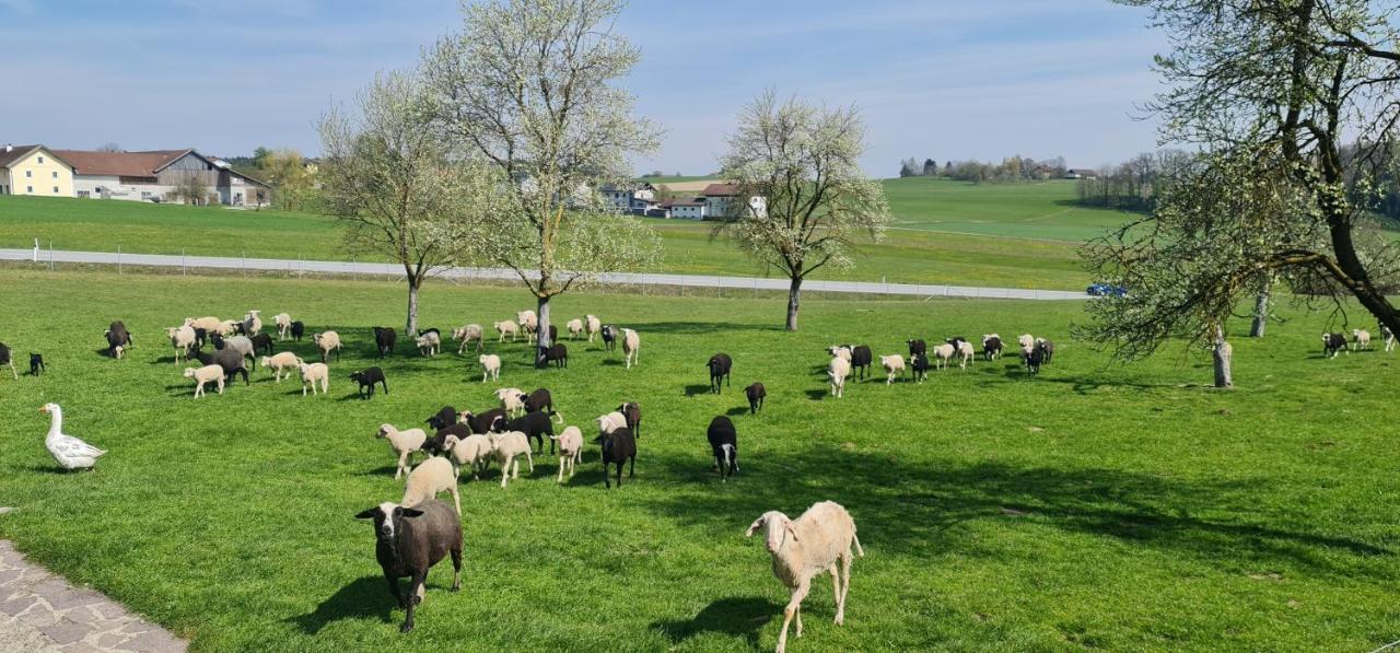 Landgasthof Entenwirt Tarsdorf Exterior photo